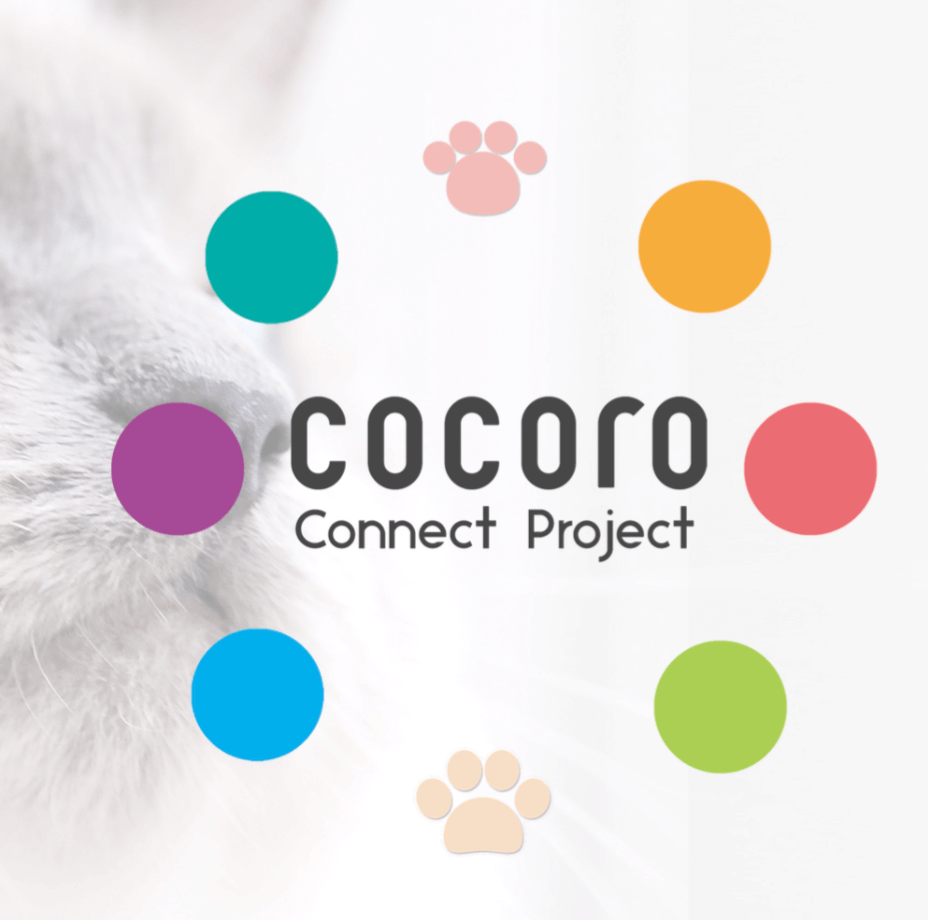 ocoro connect project